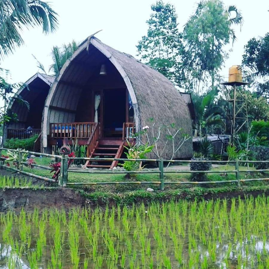 Hakiki Inn Bungalows Tetebatu Exterior foto