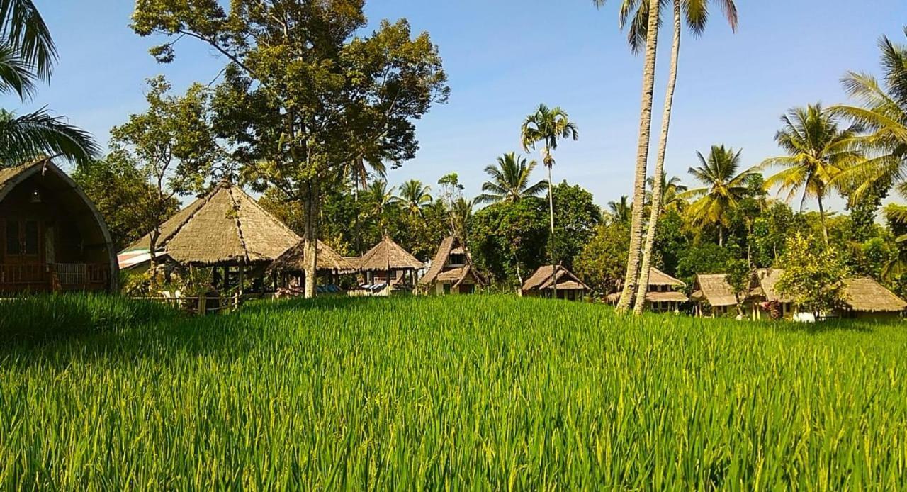 Hakiki Inn Bungalows Tetebatu Exterior foto